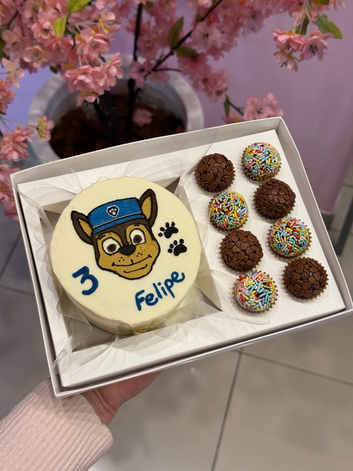Caixa com bentô desenhado com um cachorrinho e brigadeiros coloridos